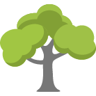 Lakeland Trees Removal